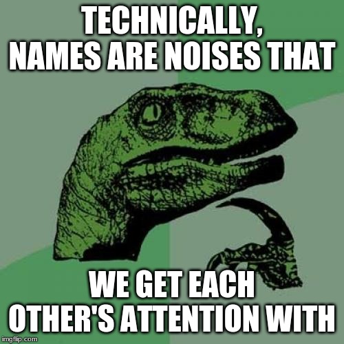 Philosoraptor Meme | TECHNICALLY, NAMES ARE NOISES THAT; WE GET EACH OTHER'S ATTENTION WITH | image tagged in memes,philosoraptor | made w/ Imgflip meme maker
