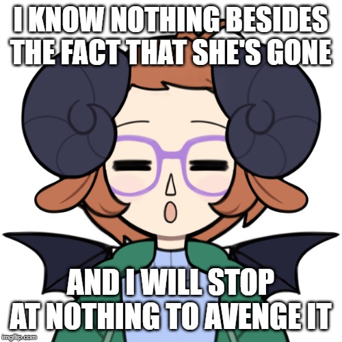 Sleepy Me | I KNOW NOTHING BESIDES THE FACT THAT SHE'S GONE AND I WILL STOP AT NOTHING TO AVENGE IT | image tagged in sleepy me | made w/ Imgflip meme maker