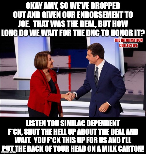 What?  You didn't really think they dropped out for no reason did you?   Awww, you did?  That's so cute.  LoL! | OKAY AMY, SO WE'VE DROPPED OUT AND GIVEN OUR ENDORSEMENT TO JOE.  THAT WAS THE DEAL, BUT HOW LONG DO WE WAIT FOR THE DNC TO HONOR IT? THE INFORMATION COLLECTIVE; LISTEN YOU SIMILAC DEPENDENT F*CK, SHUT THE HELL UP ABOUT THE DEAL AND WAIT.  YOU F*CK THIS UP FOR US AND I'LL PUT THE BACK OF YOUR HEAD ON A MILK CARTON! | image tagged in memes,politics,democrats,bernie sanders,joe biden,election 2020 | made w/ Imgflip meme maker