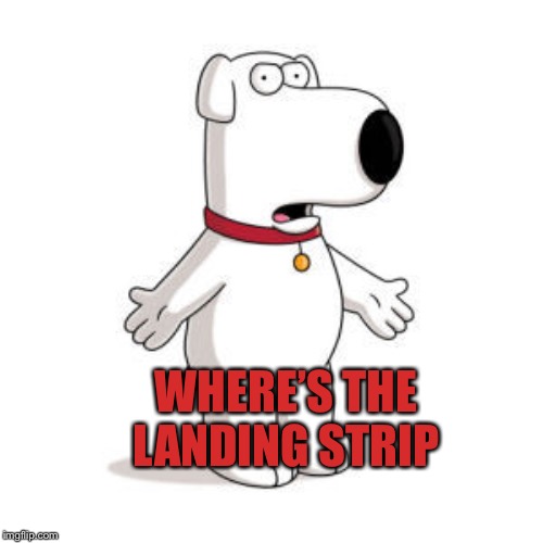 Family Guy Brian Meme | WHERE’S THE LANDING STRIP | image tagged in memes,family guy brian | made w/ Imgflip meme maker