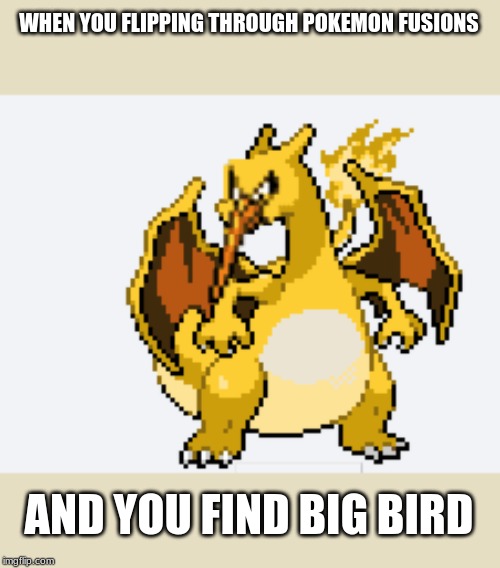 Big burb | WHEN YOU FLIPPING THROUGH POKEMON FUSIONS; AND YOU FIND BIG BIRD | image tagged in pokemon,pokemon fusion,big bird,memes | made w/ Imgflip meme maker