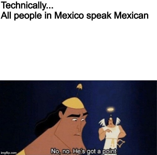 Credit to TheREALGamewell for this meme. | Technically...
All people in Mexico speak Mexican | image tagged in no no he's got a point | made w/ Imgflip meme maker