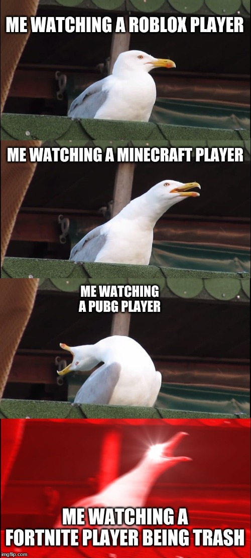 Inhaling Seagull Meme | ME WATCHING A ROBLOX PLAYER; ME WATCHING A MINECRAFT PLAYER; ME WATCHING A PUBG PLAYER; ME WATCHING A FORTNITE PLAYER BEING TRASH | image tagged in memes,inhaling seagull | made w/ Imgflip meme maker