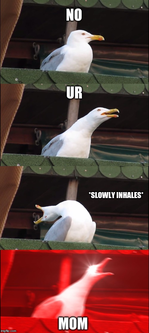 Inhaling Seagull | NO; UR; *SLOWLY INHALES*; MOM | image tagged in memes,inhaling seagull | made w/ Imgflip meme maker