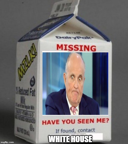 Milk carton | WHITE HOUSE | image tagged in milk carton | made w/ Imgflip meme maker