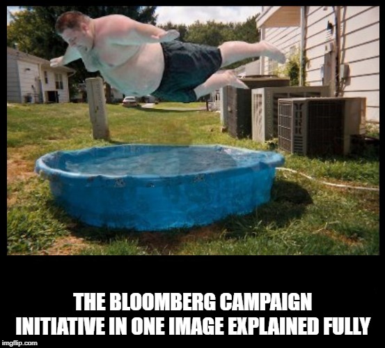 belly flop | THE BLOOMBERG CAMPAIGN INITIATIVE IN ONE IMAGE EXPLAINED FULLY | image tagged in belly flop | made w/ Imgflip meme maker