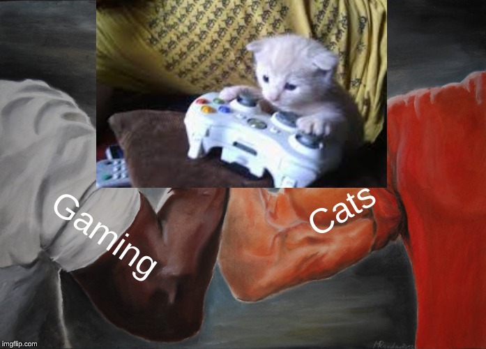 Gaming cat | Cats; Gaming | image tagged in kitty cat,fortnite,xbox | made w/ Imgflip meme maker