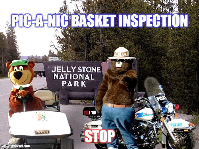 Yogi bear & Smokey | PIC-A-NIC BASKET INSPECTION; STOP | image tagged in funny,basket,stop,check,station,border | made w/ Imgflip meme maker