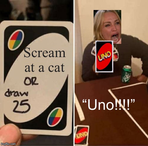 UNO Draw 25 Cards Meme | Scream at a cat; “Uno!!!!” | image tagged in memes,uno draw 25 cards | made w/ Imgflip meme maker