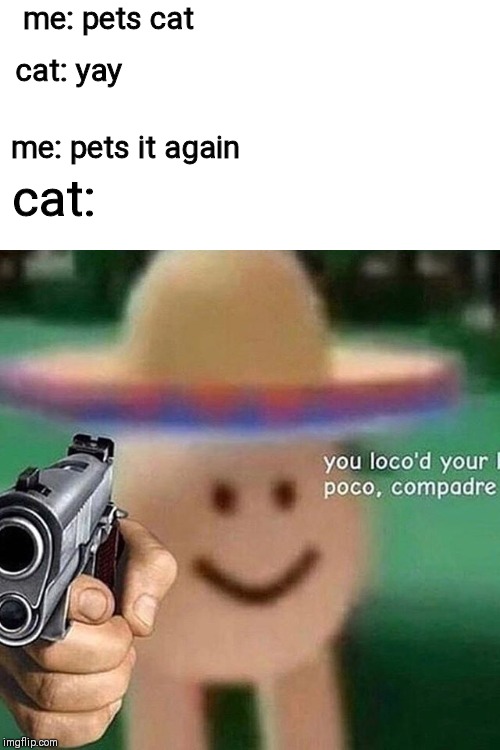 new template | me: pets cat; cat: yay; me: pets it again; cat: | image tagged in poco loco egg,memes | made w/ Imgflip meme maker