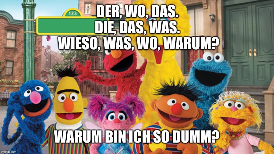 Sesame Street Blank Sign | DER, WO, DAS. 
DIE, DAS, WAS. 
WIESO, WAS, WO, WARUM? WARUM BIN ICH SO DUMM? | image tagged in sesame street blank sign | made w/ Imgflip meme maker