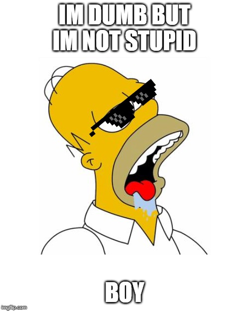 Homer Simpson Drooling | IM DUMB BUT IM NOT STUPID; BOY | image tagged in homer simpson drooling | made w/ Imgflip meme maker