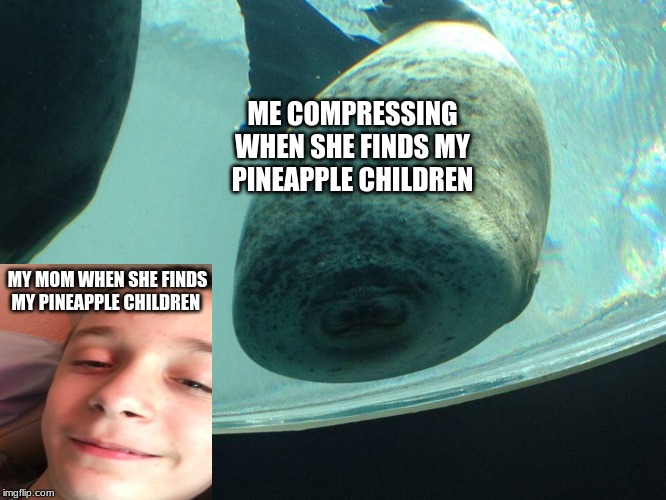 when my mom finds my pineapple children | ME COMPRESSING WHEN SHE FINDS MY PINEAPPLE CHILDREN; MY MOM WHEN SHE FINDS MY PINEAPPLE CHILDREN | image tagged in eeee | made w/ Imgflip meme maker