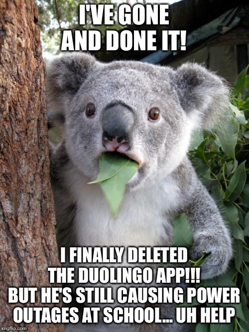 Surprised Koala Meme | I'VE GONE AND DONE IT! I FINALLY DELETED THE DUOLINGO APP!!!

BUT HE'S STILL CAUSING POWER OUTAGES AT SCHOOL... UH HELP | image tagged in memes,surprised koala | made w/ Imgflip meme maker