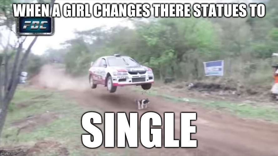 Race car fly over dog | WHEN A GIRL CHANGES THERE STATUES TO; SINGLE | image tagged in race car fly over dog | made w/ Imgflip meme maker