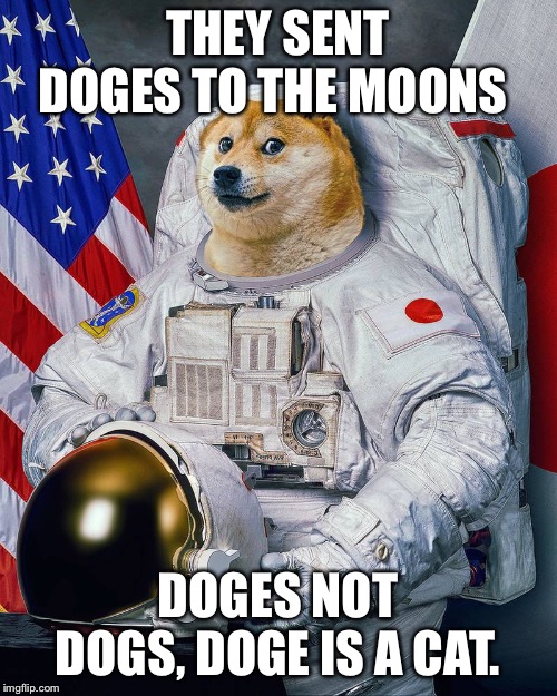 Doge Space Suit | THEY SENT DOGES TO THE MOONS; DOGES NOT DOGS, DOGE IS A CAT. | image tagged in doge space suit,cats | made w/ Imgflip meme maker