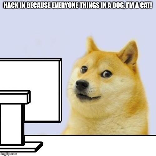 Hacker Doge | HACK IN BECAUSE EVERYONE THINGS IN A DOG, I’M A CAT! | image tagged in hacker doge,cats | made w/ Imgflip meme maker
