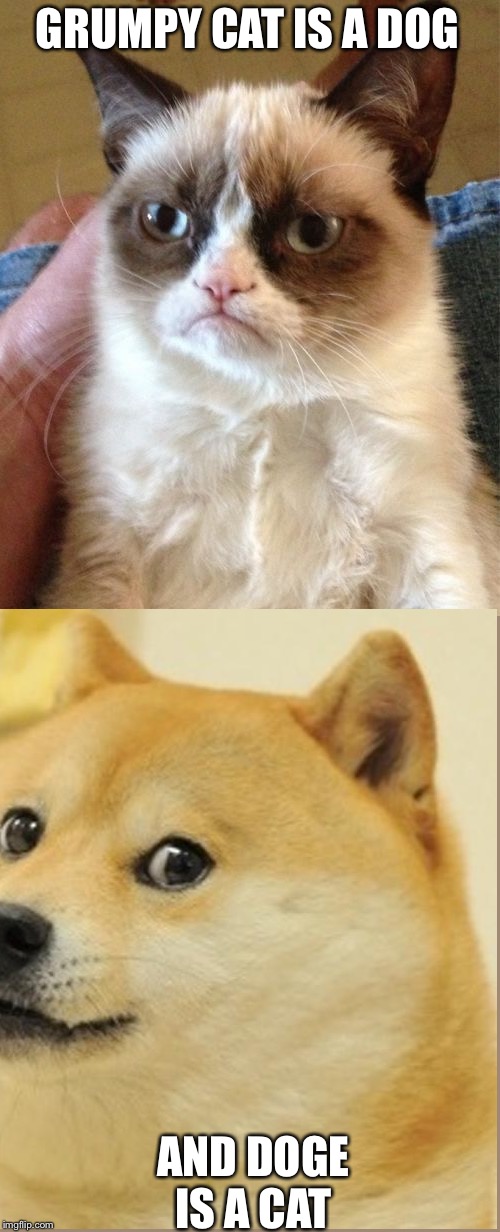 GRUMPY CAT IS A DOG; AND DOGE IS A CAT | image tagged in memes,grumpy cat | made w/ Imgflip meme maker