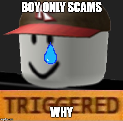 Roblox Triggered | BOY ONLY SCAMS; WHY | image tagged in roblox triggered | made w/ Imgflip meme maker