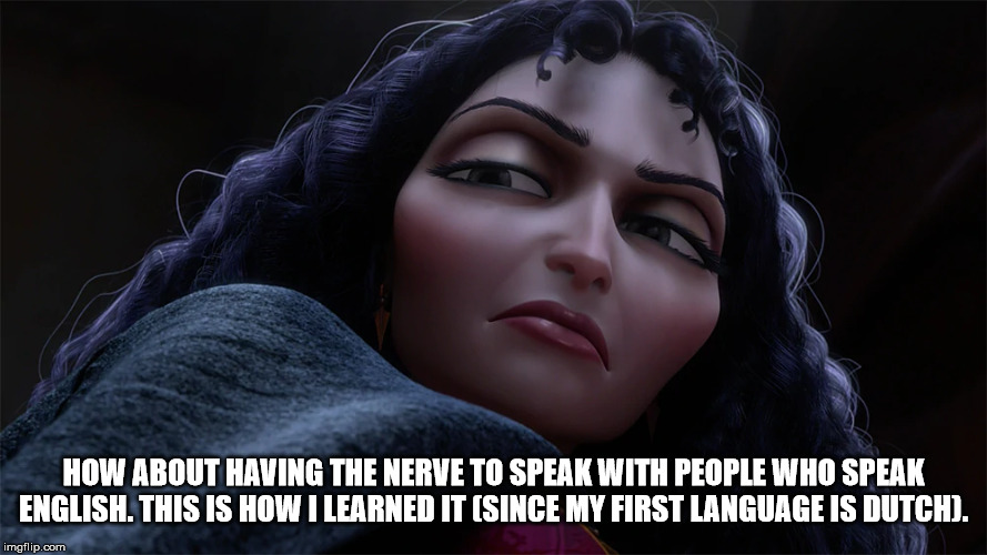 Mother Gothel | HOW ABOUT HAVING THE NERVE TO SPEAK WITH PEOPLE WHO SPEAK ENGLISH. THIS IS HOW I LEARNED IT (SINCE MY FIRST LANGUAGE IS DUTCH). | image tagged in mother gothel | made w/ Imgflip meme maker