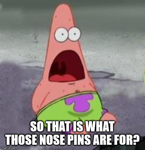 Suprised Patrick | SO THAT IS WHAT THOSE NOSE PINS ARE FOR? | image tagged in suprised patrick | made w/ Imgflip meme maker