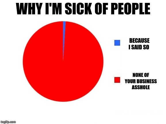WHY I'M SICK OF PEOPLE; BECAUSE I SAID SO; NONE OF YOUR BUSINESS ASSHOLE | image tagged in circle graph,humor,sick of everyone,people are assholes | made w/ Imgflip meme maker