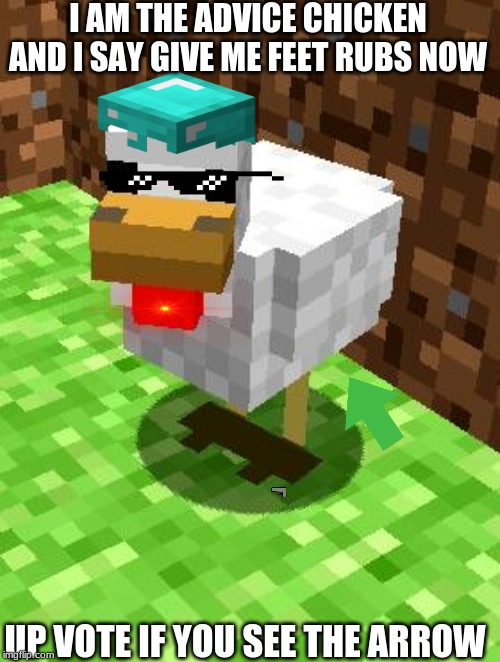 Minecraft Advice Chicken | I AM THE ADVICE CHICKEN AND I SAY GIVE ME FEET RUBS NOW; UP VOTE IF YOU SEE THE ARROW | image tagged in minecraft advice chicken | made w/ Imgflip meme maker