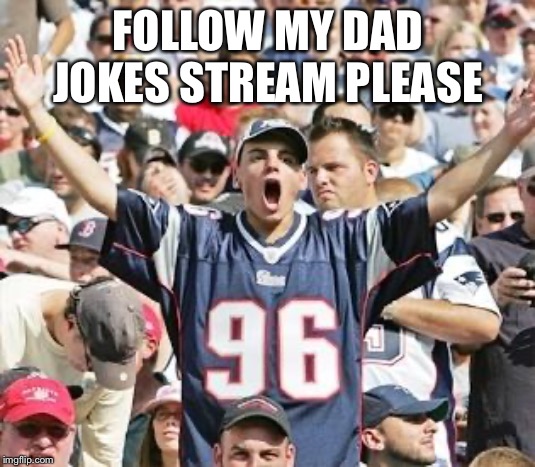 Sports Fans | FOLLOW MY DAD JOKES STREAM PLEASE | image tagged in sports fans | made w/ Imgflip meme maker