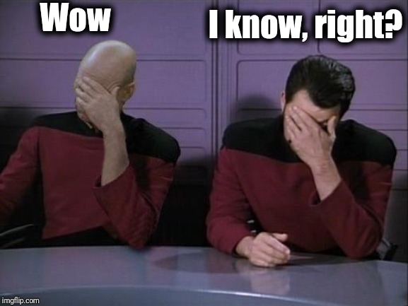 Double Facepalm | Wow I know, right? | image tagged in double facepalm | made w/ Imgflip meme maker