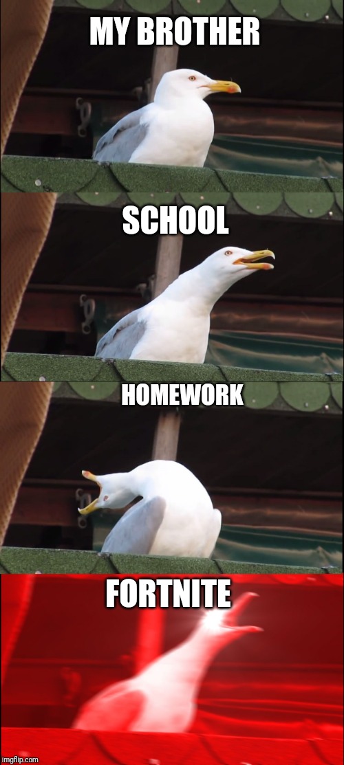 Inhaling Seagull | MY BROTHER; SCHOOL; HOMEWORK; FORTNITE | image tagged in memes,inhaling seagull | made w/ Imgflip meme maker