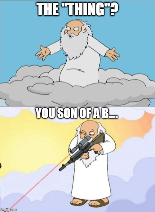 THE "THING"? YOU SON OF A B.... | image tagged in family guy god cmon | made w/ Imgflip meme maker