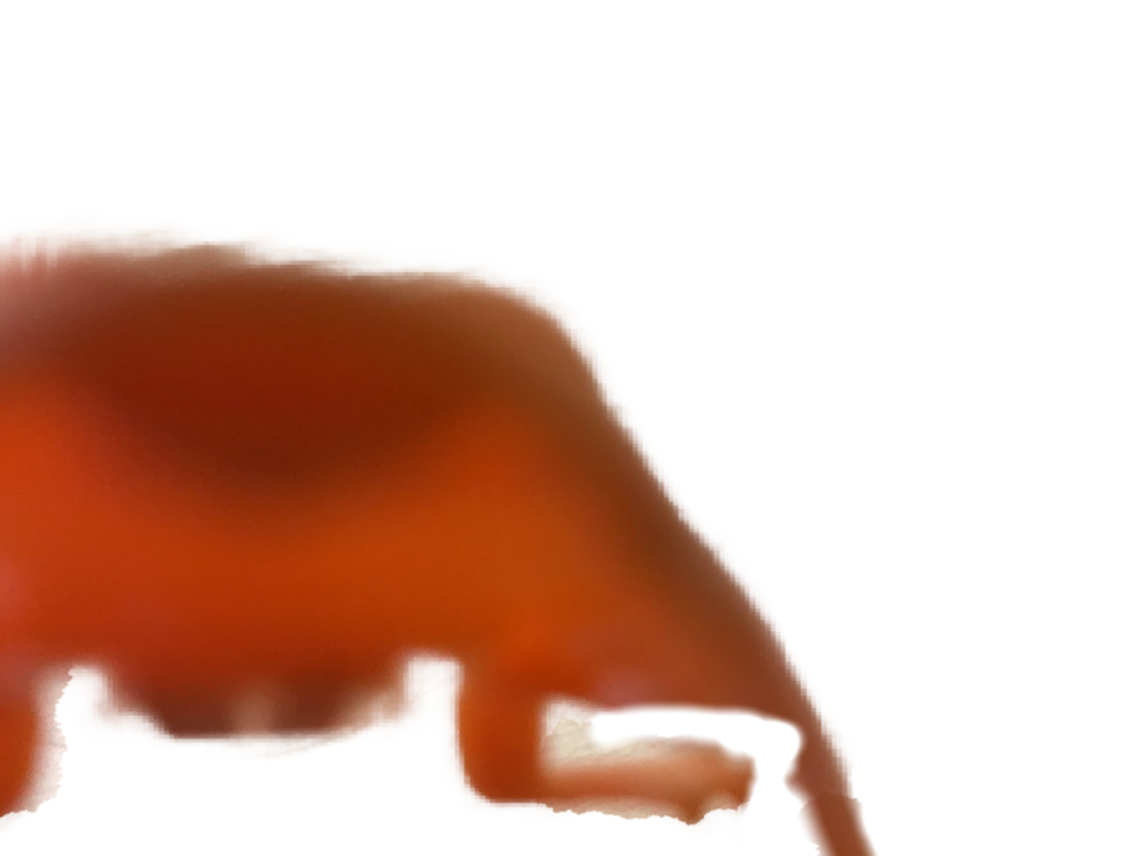 High Quality Greg the frog transparent Blank Meme Template