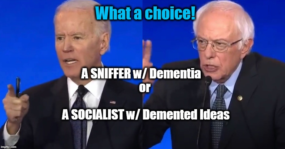 The BEST Choice -- Donald Trump! | What a choice! A SNIFFER w/ Dementia   
                                  or                                                                              
                 A SOCIALIST w/ Demented Ideas | image tagged in politicians,politics,political meme,political humor,democrats,donald trump | made w/ Imgflip meme maker