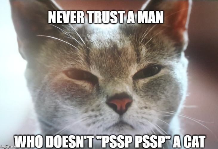 NEVER TRUST A MAN; WHO DOESN'T "PSSP PSSP" A CAT | image tagged in meme,cats | made w/ Imgflip meme maker