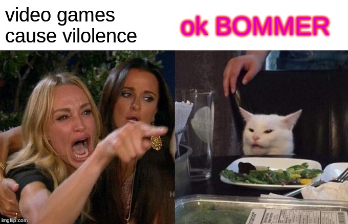 Woman Yelling At Cat | video games cause vilolence; ok BOMMER | image tagged in memes,woman yelling at cat | made w/ Imgflip meme maker