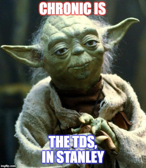 Star Wars Yoda Meme | CHRONIC IS THE TDS, IN STANLEY | image tagged in memes,star wars yoda | made w/ Imgflip meme maker