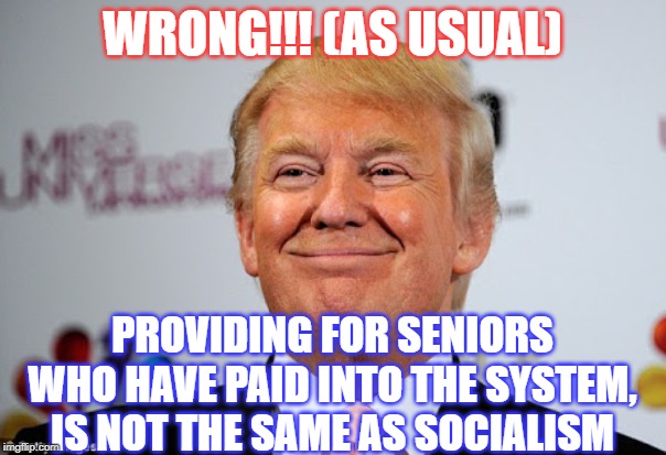 Donald trump approves | WRONG!!! (AS USUAL) PROVIDING FOR SENIORS WHO HAVE PAID INTO THE SYSTEM, IS NOT THE SAME AS SOCIALISM | image tagged in donald trump approves | made w/ Imgflip meme maker