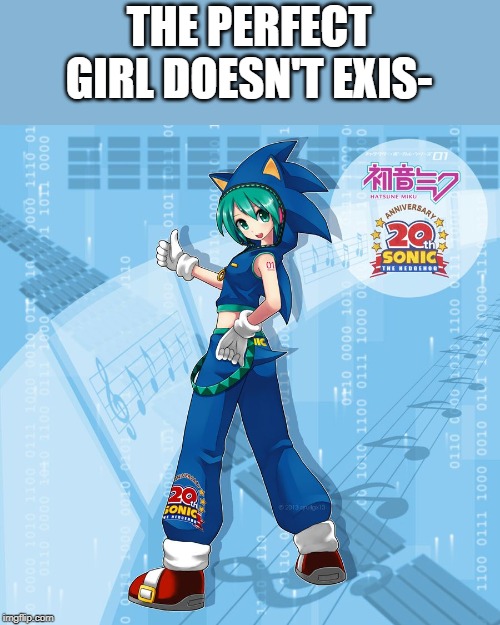 SONIKKKK | THE PERFECT GIRL DOESN'T EXIS- | image tagged in sonic the hedgehog,sonic,sonic movie,dank memes | made w/ Imgflip meme maker