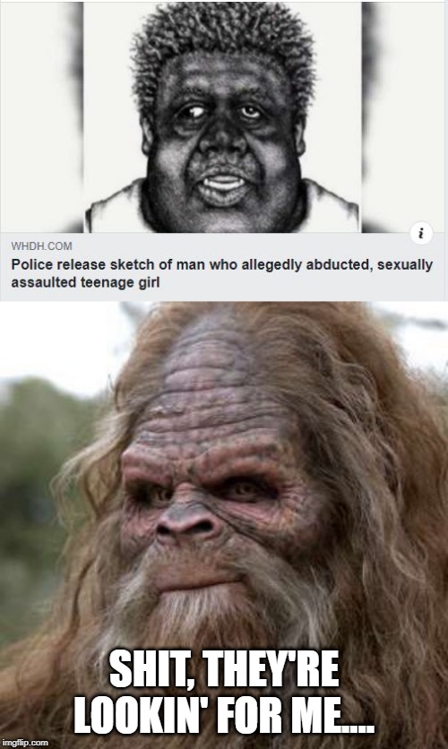 Looking for Sasquatch? | SHIT, THEY'RE LOOKIN' FOR ME.... | image tagged in bigfoot face | made w/ Imgflip meme maker