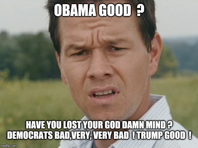 Huh  | OBAMA GOOD  ? HAVE YOU LOST YOUR GO***AMN MIND ? DEMOCRATS BAD,VERY, VERY BAD  ! TRUMP GOOD  ! | image tagged in huh | made w/ Imgflip meme maker