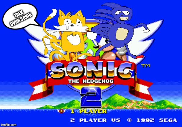 oh no! there goes sonic 2! |  TAEK OVUR SONIK | image tagged in sanic,taels | made w/ Imgflip meme maker