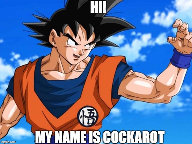This is My Meme | HI! MY NAME IS COCKAROT | image tagged in memes | made w/ Imgflip meme maker