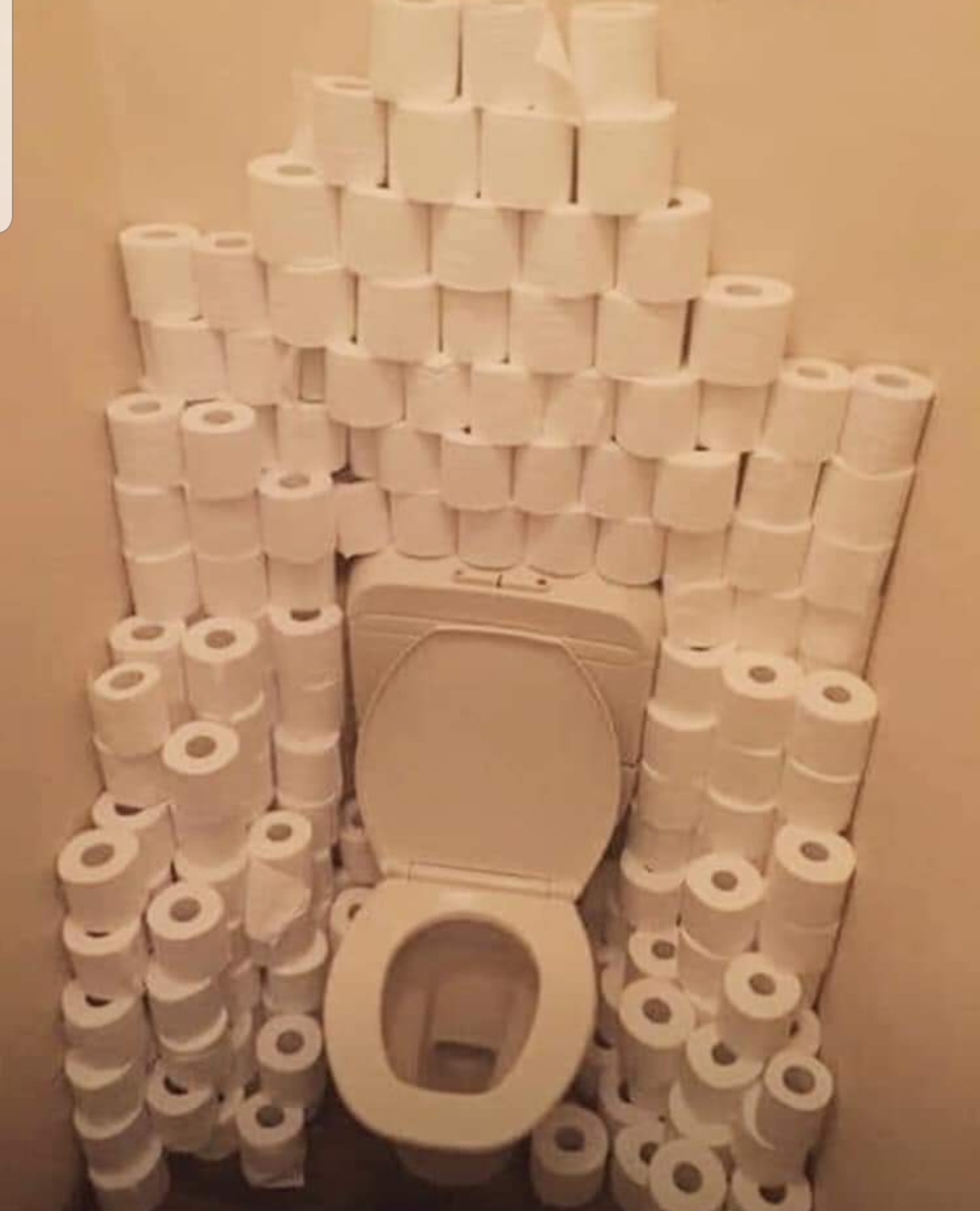 Toilet Blank Meme Template