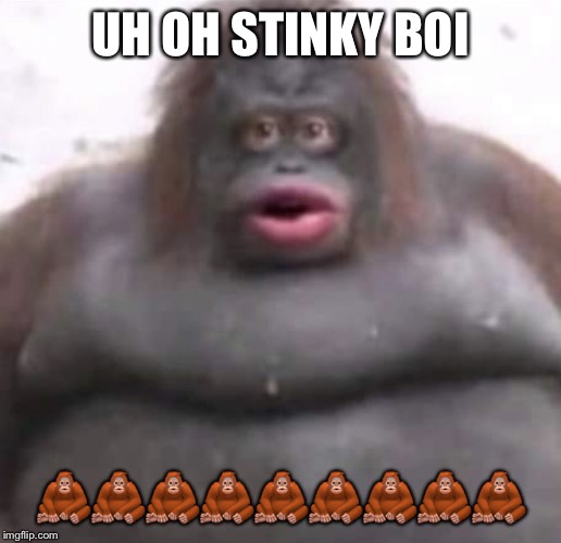 Le Monke | UH OH STINKY BOI; 🦧🦧🦧🦧🦧🦧🦧🦧🦧 | image tagged in le monke | made w/ Imgflip meme maker