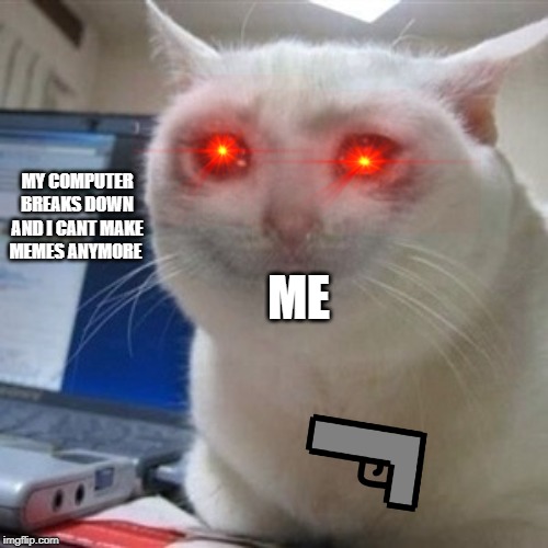 Crying cat | MY COMPUTER BREAKS DOWN AND I CANT MAKE MEMES ANYMORE; ME | image tagged in crying cat | made w/ Imgflip meme maker