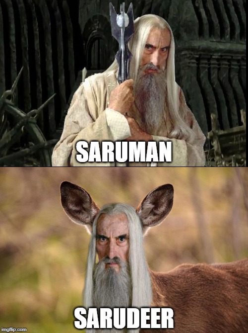 SARUMAN; SARUDEER | image tagged in saruman,lord of the rings,lotr,bad pun,puns | made w/ Imgflip meme maker