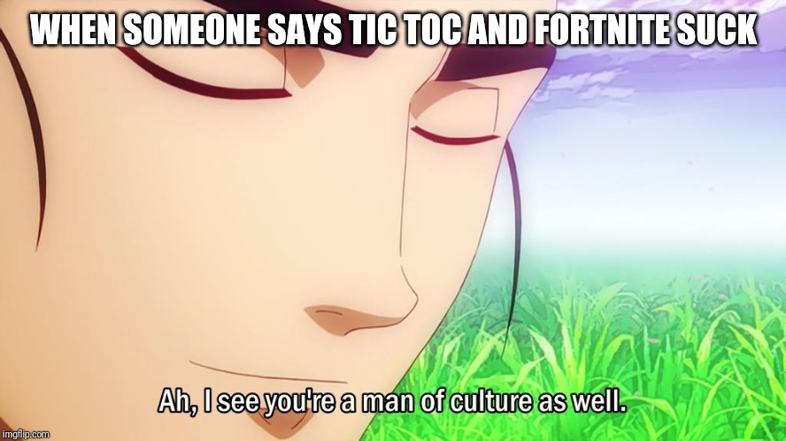 Ah, I See You're a Man of Culture As Well | WHEN SOMEONE SAYS TIC TOC AND FORTNITE SUCK | image tagged in ah i see you're a man of culture as well | made w/ Imgflip meme maker