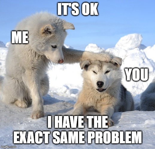 It's OK | IT'S OK I HAVE THE EXACT SAME PROBLEM ME YOU | image tagged in it's ok | made w/ Imgflip meme maker