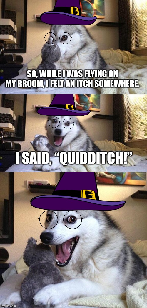Doggy Potter tells a story with a bad Harry Potter joke in it. | SO, WHILE I WAS FLYING ON MY BROOM, I FELT AN ITCH SOMEWHERE. I SAID, “QUIDDITCH!” | image tagged in memes,bad pun dog,harry potter,wizard | made w/ Imgflip meme maker