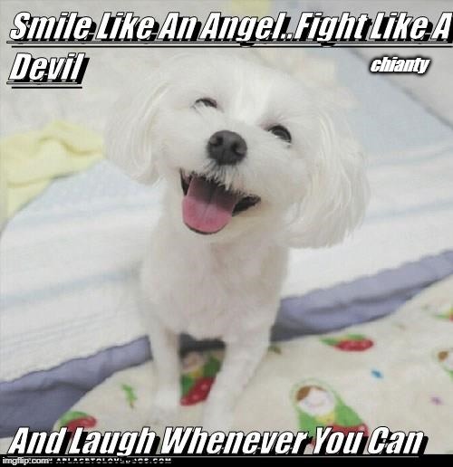Smile | chianty | image tagged in laugh | made w/ Imgflip meme maker